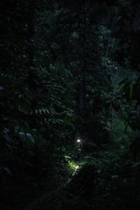 BIB: 
                            <button type="button" onclick="openModal(26499653)" class="btn btn-primary btn-sm float-right btn-popup" data-toggle="modal" data-target=".modal-high-quality">
                        <i class="fas fa-shopping-cart"></i> Add to Cart
                    </button>
                                            <button type="button" onclick="isThisMe(26499653, true)" class="btn btn-success btn-sm float-right btn-popup btn-isme hidden" data-toggle="tooltip" data-placement="bottom" title="นี่คือรูปของคุณใช่ไหม คลิกที่นี่เพื่อเอาเข้าอัลบั้ม">
                        <i class="fas fa-plus"></i> Add to album
                    </button>
                    <button type="button" onclick="isThisMe(26499653, false)" class="btn btn-warning btn-sm float-right btn-popup btn-isnotme hidden">
                        <i class="fas fa-ban"></i> Remove from album
                    </button>