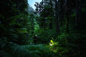 BIB: 
                            <button type="button" onclick="openModal(26499292)" class="btn btn-primary btn-sm float-right btn-popup" data-toggle="modal" data-target=".modal-high-quality">
                        <i class="fas fa-shopping-cart"></i> Add to Cart
                    </button>
                                            <button type="button" onclick="isThisMe(26499292, true)" class="btn btn-success btn-sm float-right btn-popup btn-isme hidden" data-toggle="tooltip" data-placement="bottom" title="นี่คือรูปของคุณใช่ไหม คลิกที่นี่เพื่อเอาเข้าอัลบั้ม">
                        <i class="fas fa-plus"></i> Add to album
                    </button>
                    <button type="button" onclick="isThisMe(26499292, false)" class="btn btn-warning btn-sm float-right btn-popup btn-isnotme hidden">
                        <i class="fas fa-ban"></i> Remove from album
                    </button>