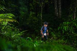 BIB: 
                            <button type="button" onclick="openModal(26432981)" class="btn btn-primary btn-sm float-right btn-popup" data-toggle="modal" data-target=".modal-high-quality">
                        <i class="fas fa-shopping-cart"></i> Add to Cart
                    </button>
                                            <button type="button" onclick="isThisMe(26432981, true)" class="btn btn-success btn-sm float-right btn-popup btn-isme hidden" data-toggle="tooltip" data-placement="bottom" title="นี่คือรูปของคุณใช่ไหม คลิกที่นี่เพื่อเอาเข้าอัลบั้ม">
                        <i class="fas fa-plus"></i> Add to album
                    </button>
                    <button type="button" onclick="isThisMe(26432981, false)" class="btn btn-warning btn-sm float-right btn-popup btn-isnotme hidden">
                        <i class="fas fa-ban"></i> Remove from album
                    </button>