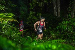 BIB: 
                            <button type="button" onclick="openModal(26433090)" class="btn btn-primary btn-sm float-right btn-popup" data-toggle="modal" data-target=".modal-high-quality">
                        <i class="fas fa-shopping-cart"></i> Add to Cart
                    </button>
                                            <button type="button" onclick="isThisMe(26433090, true)" class="btn btn-success btn-sm float-right btn-popup btn-isme hidden" data-toggle="tooltip" data-placement="bottom" title="นี่คือรูปของคุณใช่ไหม คลิกที่นี่เพื่อเอาเข้าอัลบั้ม">
                        <i class="fas fa-plus"></i> Add to album
                    </button>
                    <button type="button" onclick="isThisMe(26433090, false)" class="btn btn-warning btn-sm float-right btn-popup btn-isnotme hidden">
                        <i class="fas fa-ban"></i> Remove from album
                    </button>