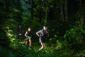 BIB: 
                            <button type="button" onclick="openModal(26432847)" class="btn btn-primary btn-sm float-right btn-popup" data-toggle="modal" data-target=".modal-high-quality">
                        <i class="fas fa-shopping-cart"></i> Add to Cart
                    </button>
                                            <button type="button" onclick="isThisMe(26432847, true)" class="btn btn-success btn-sm float-right btn-popup btn-isme hidden" data-toggle="tooltip" data-placement="bottom" title="นี่คือรูปของคุณใช่ไหม คลิกที่นี่เพื่อเอาเข้าอัลบั้ม">
                        <i class="fas fa-plus"></i> Add to album
                    </button>
                    <button type="button" onclick="isThisMe(26432847, false)" class="btn btn-warning btn-sm float-right btn-popup btn-isnotme hidden">
                        <i class="fas fa-ban"></i> Remove from album
                    </button>