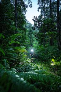 BIB: 
                            <button type="button" onclick="openModal(26499528)" class="btn btn-primary btn-sm float-right btn-popup" data-toggle="modal" data-target=".modal-high-quality">
                        <i class="fas fa-shopping-cart"></i> Add to Cart
                    </button>
                                            <button type="button" onclick="isThisMe(26499528, true)" class="btn btn-success btn-sm float-right btn-popup btn-isme hidden" data-toggle="tooltip" data-placement="bottom" title="นี่คือรูปของคุณใช่ไหม คลิกที่นี่เพื่อเอาเข้าอัลบั้ม">
                        <i class="fas fa-plus"></i> Add to album
                    </button>
                    <button type="button" onclick="isThisMe(26499528, false)" class="btn btn-warning btn-sm float-right btn-popup btn-isnotme hidden">
                        <i class="fas fa-ban"></i> Remove from album
                    </button>