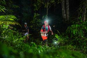 BIB: 
                            <button type="button" onclick="openModal(26433455)" class="btn btn-primary btn-sm float-right btn-popup" data-toggle="modal" data-target=".modal-high-quality">
                        <i class="fas fa-shopping-cart"></i> Add to Cart
                    </button>
                                            <button type="button" onclick="isThisMe(26433455, true)" class="btn btn-success btn-sm float-right btn-popup btn-isme hidden" data-toggle="tooltip" data-placement="bottom" title="นี่คือรูปของคุณใช่ไหม คลิกที่นี่เพื่อเอาเข้าอัลบั้ม">
                        <i class="fas fa-plus"></i> Add to album
                    </button>
                    <button type="button" onclick="isThisMe(26433455, false)" class="btn btn-warning btn-sm float-right btn-popup btn-isnotme hidden">
                        <i class="fas fa-ban"></i> Remove from album
                    </button>