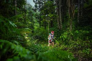 BIB: 
                            <button type="button" onclick="openModal(26432779)" class="btn btn-primary btn-sm float-right btn-popup" data-toggle="modal" data-target=".modal-high-quality">
                        <i class="fas fa-shopping-cart"></i> Add to Cart
                    </button>
                                            <button type="button" onclick="isThisMe(26432779, true)" class="btn btn-success btn-sm float-right btn-popup btn-isme hidden" data-toggle="tooltip" data-placement="bottom" title="นี่คือรูปของคุณใช่ไหม คลิกที่นี่เพื่อเอาเข้าอัลบั้ม">
                        <i class="fas fa-plus"></i> Add to album
                    </button>
                    <button type="button" onclick="isThisMe(26432779, false)" class="btn btn-warning btn-sm float-right btn-popup btn-isnotme hidden">
                        <i class="fas fa-ban"></i> Remove from album
                    </button>