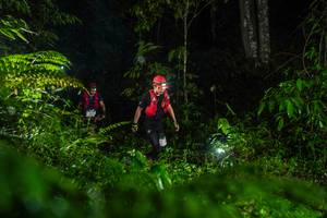 BIB: 
                            <button type="button" onclick="openModal(26433726)" class="btn btn-primary btn-sm float-right btn-popup" data-toggle="modal" data-target=".modal-high-quality">
                        <i class="fas fa-shopping-cart"></i> Add to Cart
                    </button>
                                            <button type="button" onclick="isThisMe(26433726, true)" class="btn btn-success btn-sm float-right btn-popup btn-isme hidden" data-toggle="tooltip" data-placement="bottom" title="นี่คือรูปของคุณใช่ไหม คลิกที่นี่เพื่อเอาเข้าอัลบั้ม">
                        <i class="fas fa-plus"></i> Add to album
                    </button>
                    <button type="button" onclick="isThisMe(26433726, false)" class="btn btn-warning btn-sm float-right btn-popup btn-isnotme hidden">
                        <i class="fas fa-ban"></i> Remove from album
                    </button>