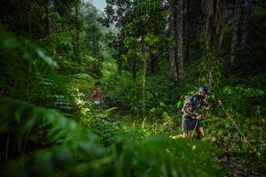 BIB: 
                            <button type="button" onclick="openModal(26432803)" class="btn btn-primary btn-sm float-right btn-popup" data-toggle="modal" data-target=".modal-high-quality">
                        <i class="fas fa-shopping-cart"></i> Add to Cart
                    </button>
                                            <button type="button" onclick="isThisMe(26432803, true)" class="btn btn-success btn-sm float-right btn-popup btn-isme hidden" data-toggle="tooltip" data-placement="bottom" title="นี่คือรูปของคุณใช่ไหม คลิกที่นี่เพื่อเอาเข้าอัลบั้ม">
                        <i class="fas fa-plus"></i> Add to album
                    </button>
                    <button type="button" onclick="isThisMe(26432803, false)" class="btn btn-warning btn-sm float-right btn-popup btn-isnotme hidden">
                        <i class="fas fa-ban"></i> Remove from album
                    </button>