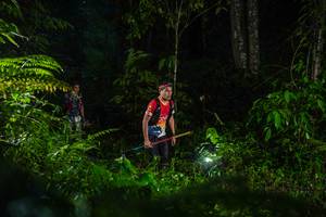 BIB: 
                            <button type="button" onclick="openModal(26433482)" class="btn btn-primary btn-sm float-right btn-popup" data-toggle="modal" data-target=".modal-high-quality">
                        <i class="fas fa-shopping-cart"></i> Add to Cart
                    </button>
                                            <button type="button" onclick="isThisMe(26433482, true)" class="btn btn-success btn-sm float-right btn-popup btn-isme hidden" data-toggle="tooltip" data-placement="bottom" title="นี่คือรูปของคุณใช่ไหม คลิกที่นี่เพื่อเอาเข้าอัลบั้ม">
                        <i class="fas fa-plus"></i> Add to album
                    </button>
                    <button type="button" onclick="isThisMe(26433482, false)" class="btn btn-warning btn-sm float-right btn-popup btn-isnotme hidden">
                        <i class="fas fa-ban"></i> Remove from album
                    </button>