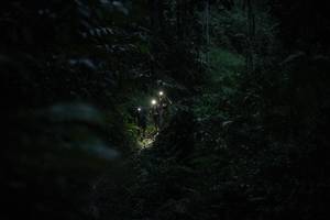 BIB: 
                            <button type="button" onclick="openModal(26499555)" class="btn btn-primary btn-sm float-right btn-popup" data-toggle="modal" data-target=".modal-high-quality">
                        <i class="fas fa-shopping-cart"></i> Add to Cart
                    </button>
                                            <button type="button" onclick="isThisMe(26499555, true)" class="btn btn-success btn-sm float-right btn-popup btn-isme hidden" data-toggle="tooltip" data-placement="bottom" title="นี่คือรูปของคุณใช่ไหม คลิกที่นี่เพื่อเอาเข้าอัลบั้ม">
                        <i class="fas fa-plus"></i> Add to album
                    </button>
                    <button type="button" onclick="isThisMe(26499555, false)" class="btn btn-warning btn-sm float-right btn-popup btn-isnotme hidden">
                        <i class="fas fa-ban"></i> Remove from album
                    </button>