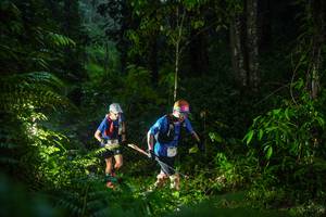 BIB: 
                            <button type="button" onclick="openModal(26432868)" class="btn btn-primary btn-sm float-right btn-popup" data-toggle="modal" data-target=".modal-high-quality">
                        <i class="fas fa-shopping-cart"></i> Add to Cart
                    </button>
                                            <button type="button" onclick="isThisMe(26432868, true)" class="btn btn-success btn-sm float-right btn-popup btn-isme hidden" data-toggle="tooltip" data-placement="bottom" title="นี่คือรูปของคุณใช่ไหม คลิกที่นี่เพื่อเอาเข้าอัลบั้ม">
                        <i class="fas fa-plus"></i> Add to album
                    </button>
                    <button type="button" onclick="isThisMe(26432868, false)" class="btn btn-warning btn-sm float-right btn-popup btn-isnotme hidden">
                        <i class="fas fa-ban"></i> Remove from album
                    </button>