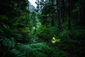 BIB: 
                            <button type="button" onclick="openModal(26499141)" class="btn btn-primary btn-sm float-right btn-popup" data-toggle="modal" data-target=".modal-high-quality">
                        <i class="fas fa-shopping-cart"></i> Add to Cart
                    </button>
                                            <button type="button" onclick="isThisMe(26499141, true)" class="btn btn-success btn-sm float-right btn-popup btn-isme hidden" data-toggle="tooltip" data-placement="bottom" title="นี่คือรูปของคุณใช่ไหม คลิกที่นี่เพื่อเอาเข้าอัลบั้ม">
                        <i class="fas fa-plus"></i> Add to album
                    </button>
                    <button type="button" onclick="isThisMe(26499141, false)" class="btn btn-warning btn-sm float-right btn-popup btn-isnotme hidden">
                        <i class="fas fa-ban"></i> Remove from album
                    </button>