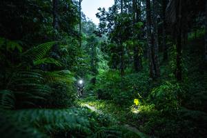 BIB: 
                            <button type="button" onclick="openModal(26499478)" class="btn btn-primary btn-sm float-right btn-popup" data-toggle="modal" data-target=".modal-high-quality">
                        <i class="fas fa-shopping-cart"></i> Add to Cart
                    </button>
                                            <button type="button" onclick="isThisMe(26499478, true)" class="btn btn-success btn-sm float-right btn-popup btn-isme hidden" data-toggle="tooltip" data-placement="bottom" title="นี่คือรูปของคุณใช่ไหม คลิกที่นี่เพื่อเอาเข้าอัลบั้ม">
                        <i class="fas fa-plus"></i> Add to album
                    </button>
                    <button type="button" onclick="isThisMe(26499478, false)" class="btn btn-warning btn-sm float-right btn-popup btn-isnotme hidden">
                        <i class="fas fa-ban"></i> Remove from album
                    </button>