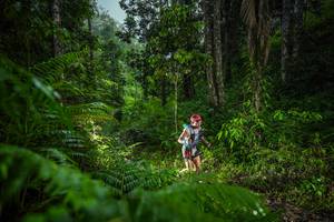 BIB: 
                            <button type="button" onclick="openModal(26432775)" class="btn btn-primary btn-sm float-right btn-popup" data-toggle="modal" data-target=".modal-high-quality">
                        <i class="fas fa-shopping-cart"></i> Add to Cart
                    </button>
                                            <button type="button" onclick="isThisMe(26432775, true)" class="btn btn-success btn-sm float-right btn-popup btn-isme hidden" data-toggle="tooltip" data-placement="bottom" title="นี่คือรูปของคุณใช่ไหม คลิกที่นี่เพื่อเอาเข้าอัลบั้ม">
                        <i class="fas fa-plus"></i> Add to album
                    </button>
                    <button type="button" onclick="isThisMe(26432775, false)" class="btn btn-warning btn-sm float-right btn-popup btn-isnotme hidden">
                        <i class="fas fa-ban"></i> Remove from album
                    </button>