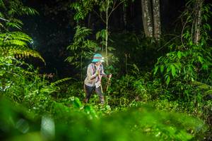 BIB: 
                            <button type="button" onclick="openModal(26434055)" class="btn btn-primary btn-sm float-right btn-popup" data-toggle="modal" data-target=".modal-high-quality">
                        <i class="fas fa-shopping-cart"></i> Add to Cart
                    </button>
                                            <button type="button" onclick="isThisMe(26434055, true)" class="btn btn-success btn-sm float-right btn-popup btn-isme hidden" data-toggle="tooltip" data-placement="bottom" title="นี่คือรูปของคุณใช่ไหม คลิกที่นี่เพื่อเอาเข้าอัลบั้ม">
                        <i class="fas fa-plus"></i> Add to album
                    </button>
                    <button type="button" onclick="isThisMe(26434055, false)" class="btn btn-warning btn-sm float-right btn-popup btn-isnotme hidden">
                        <i class="fas fa-ban"></i> Remove from album
                    </button>