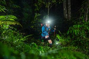 BIB: 
                            <button type="button" onclick="openModal(26433310)" class="btn btn-primary btn-sm float-right btn-popup" data-toggle="modal" data-target=".modal-high-quality">
                        <i class="fas fa-shopping-cart"></i> Add to Cart
                    </button>
                                            <button type="button" onclick="isThisMe(26433310, true)" class="btn btn-success btn-sm float-right btn-popup btn-isme hidden" data-toggle="tooltip" data-placement="bottom" title="นี่คือรูปของคุณใช่ไหม คลิกที่นี่เพื่อเอาเข้าอัลบั้ม">
                        <i class="fas fa-plus"></i> Add to album
                    </button>
                    <button type="button" onclick="isThisMe(26433310, false)" class="btn btn-warning btn-sm float-right btn-popup btn-isnotme hidden">
                        <i class="fas fa-ban"></i> Remove from album
                    </button>