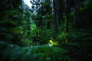 BIB: 
                            <button type="button" onclick="openModal(26499355)" class="btn btn-primary btn-sm float-right btn-popup" data-toggle="modal" data-target=".modal-high-quality">
                        <i class="fas fa-shopping-cart"></i> Add to Cart
                    </button>
                                            <button type="button" onclick="isThisMe(26499355, true)" class="btn btn-success btn-sm float-right btn-popup btn-isme hidden" data-toggle="tooltip" data-placement="bottom" title="นี่คือรูปของคุณใช่ไหม คลิกที่นี่เพื่อเอาเข้าอัลบั้ม">
                        <i class="fas fa-plus"></i> Add to album
                    </button>
                    <button type="button" onclick="isThisMe(26499355, false)" class="btn btn-warning btn-sm float-right btn-popup btn-isnotme hidden">
                        <i class="fas fa-ban"></i> Remove from album
                    </button>