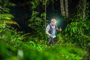 BIB: 
                            <button type="button" onclick="openModal(26434081)" class="btn btn-primary btn-sm float-right btn-popup" data-toggle="modal" data-target=".modal-high-quality">
                        <i class="fas fa-shopping-cart"></i> Add to Cart
                    </button>
                                            <button type="button" onclick="isThisMe(26434081, true)" class="btn btn-success btn-sm float-right btn-popup btn-isme hidden" data-toggle="tooltip" data-placement="bottom" title="นี่คือรูปของคุณใช่ไหม คลิกที่นี่เพื่อเอาเข้าอัลบั้ม">
                        <i class="fas fa-plus"></i> Add to album
                    </button>
                    <button type="button" onclick="isThisMe(26434081, false)" class="btn btn-warning btn-sm float-right btn-popup btn-isnotme hidden">
                        <i class="fas fa-ban"></i> Remove from album
                    </button>