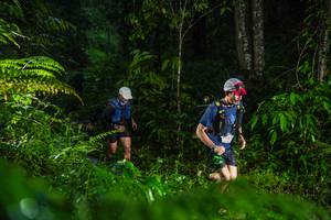 BIB: 
                            <button type="button" onclick="openModal(26432998)" class="btn btn-primary btn-sm float-right btn-popup" data-toggle="modal" data-target=".modal-high-quality">
                        <i class="fas fa-shopping-cart"></i> Add to Cart
                    </button>
                                            <button type="button" onclick="isThisMe(26432998, true)" class="btn btn-success btn-sm float-right btn-popup btn-isme hidden" data-toggle="tooltip" data-placement="bottom" title="นี่คือรูปของคุณใช่ไหม คลิกที่นี่เพื่อเอาเข้าอัลบั้ม">
                        <i class="fas fa-plus"></i> Add to album
                    </button>
                    <button type="button" onclick="isThisMe(26432998, false)" class="btn btn-warning btn-sm float-right btn-popup btn-isnotme hidden">
                        <i class="fas fa-ban"></i> Remove from album
                    </button>