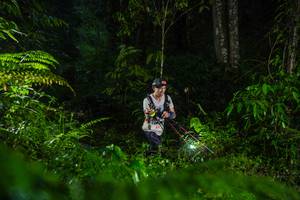 BIB: 
                            <button type="button" onclick="openModal(26433172)" class="btn btn-primary btn-sm float-right btn-popup" data-toggle="modal" data-target=".modal-high-quality">
                        <i class="fas fa-shopping-cart"></i> Add to Cart
                    </button>
                                            <button type="button" onclick="isThisMe(26433172, true)" class="btn btn-success btn-sm float-right btn-popup btn-isme hidden" data-toggle="tooltip" data-placement="bottom" title="นี่คือรูปของคุณใช่ไหม คลิกที่นี่เพื่อเอาเข้าอัลบั้ม">
                        <i class="fas fa-plus"></i> Add to album
                    </button>
                    <button type="button" onclick="isThisMe(26433172, false)" class="btn btn-warning btn-sm float-right btn-popup btn-isnotme hidden">
                        <i class="fas fa-ban"></i> Remove from album
                    </button>