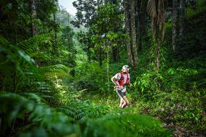 BIB: 
                            <button type="button" onclick="openModal(26432818)" class="btn btn-primary btn-sm float-right btn-popup" data-toggle="modal" data-target=".modal-high-quality">
                        <i class="fas fa-shopping-cart"></i> Add to Cart
                    </button>
                                            <button type="button" onclick="isThisMe(26432818, true)" class="btn btn-success btn-sm float-right btn-popup btn-isme hidden" data-toggle="tooltip" data-placement="bottom" title="นี่คือรูปของคุณใช่ไหม คลิกที่นี่เพื่อเอาเข้าอัลบั้ม">
                        <i class="fas fa-plus"></i> Add to album
                    </button>
                    <button type="button" onclick="isThisMe(26432818, false)" class="btn btn-warning btn-sm float-right btn-popup btn-isnotme hidden">
                        <i class="fas fa-ban"></i> Remove from album
                    </button>