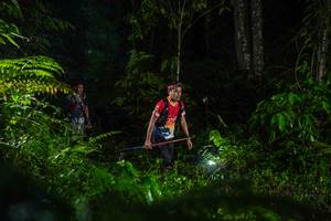 BIB: 
                            <button type="button" onclick="openModal(26433483)" class="btn btn-primary btn-sm float-right btn-popup" data-toggle="modal" data-target=".modal-high-quality">
                        <i class="fas fa-shopping-cart"></i> Add to Cart
                    </button>
                                            <button type="button" onclick="isThisMe(26433483, true)" class="btn btn-success btn-sm float-right btn-popup btn-isme hidden" data-toggle="tooltip" data-placement="bottom" title="นี่คือรูปของคุณใช่ไหม คลิกที่นี่เพื่อเอาเข้าอัลบั้ม">
                        <i class="fas fa-plus"></i> Add to album
                    </button>
                    <button type="button" onclick="isThisMe(26433483, false)" class="btn btn-warning btn-sm float-right btn-popup btn-isnotme hidden">
                        <i class="fas fa-ban"></i> Remove from album
                    </button>