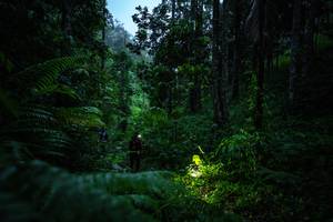 BIB: 
                            <button type="button" onclick="openModal(26499346)" class="btn btn-primary btn-sm float-right btn-popup" data-toggle="modal" data-target=".modal-high-quality">
                        <i class="fas fa-shopping-cart"></i> Add to Cart
                    </button>
                                            <button type="button" onclick="isThisMe(26499346, true)" class="btn btn-success btn-sm float-right btn-popup btn-isme hidden" data-toggle="tooltip" data-placement="bottom" title="นี่คือรูปของคุณใช่ไหม คลิกที่นี่เพื่อเอาเข้าอัลบั้ม">
                        <i class="fas fa-plus"></i> Add to album
                    </button>
                    <button type="button" onclick="isThisMe(26499346, false)" class="btn btn-warning btn-sm float-right btn-popup btn-isnotme hidden">
                        <i class="fas fa-ban"></i> Remove from album
                    </button>