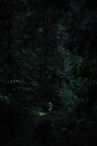 BIB: 
                            <button type="button" onclick="openModal(26499648)" class="btn btn-primary btn-sm float-right btn-popup" data-toggle="modal" data-target=".modal-high-quality">
                        <i class="fas fa-shopping-cart"></i> Add to Cart
                    </button>
                                            <button type="button" onclick="isThisMe(26499648, true)" class="btn btn-success btn-sm float-right btn-popup btn-isme hidden" data-toggle="tooltip" data-placement="bottom" title="นี่คือรูปของคุณใช่ไหม คลิกที่นี่เพื่อเอาเข้าอัลบั้ม">
                        <i class="fas fa-plus"></i> Add to album
                    </button>
                    <button type="button" onclick="isThisMe(26499648, false)" class="btn btn-warning btn-sm float-right btn-popup btn-isnotme hidden">
                        <i class="fas fa-ban"></i> Remove from album
                    </button>