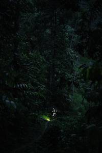 BIB: 
                            <button type="button" onclick="openModal(26499649)" class="btn btn-primary btn-sm float-right btn-popup" data-toggle="modal" data-target=".modal-high-quality">
                        <i class="fas fa-shopping-cart"></i> Add to Cart
                    </button>
                                            <button type="button" onclick="isThisMe(26499649, true)" class="btn btn-success btn-sm float-right btn-popup btn-isme hidden" data-toggle="tooltip" data-placement="bottom" title="นี่คือรูปของคุณใช่ไหม คลิกที่นี่เพื่อเอาเข้าอัลบั้ม">
                        <i class="fas fa-plus"></i> Add to album
                    </button>
                    <button type="button" onclick="isThisMe(26499649, false)" class="btn btn-warning btn-sm float-right btn-popup btn-isnotme hidden">
                        <i class="fas fa-ban"></i> Remove from album
                    </button>