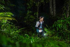 BIB: 
                            <button type="button" onclick="openModal(26433580)" class="btn btn-primary btn-sm float-right btn-popup" data-toggle="modal" data-target=".modal-high-quality">
                        <i class="fas fa-shopping-cart"></i> Add to Cart
                    </button>
                                            <button type="button" onclick="isThisMe(26433580, true)" class="btn btn-success btn-sm float-right btn-popup btn-isme hidden" data-toggle="tooltip" data-placement="bottom" title="นี่คือรูปของคุณใช่ไหม คลิกที่นี่เพื่อเอาเข้าอัลบั้ม">
                        <i class="fas fa-plus"></i> Add to album
                    </button>
                    <button type="button" onclick="isThisMe(26433580, false)" class="btn btn-warning btn-sm float-right btn-popup btn-isnotme hidden">
                        <i class="fas fa-ban"></i> Remove from album
                    </button>