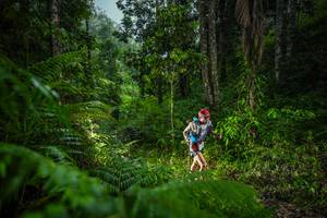 BIB: 
                            <button type="button" onclick="openModal(26432789)" class="btn btn-primary btn-sm float-right btn-popup" data-toggle="modal" data-target=".modal-high-quality">
                        <i class="fas fa-shopping-cart"></i> Add to Cart
                    </button>
                                            <button type="button" onclick="isThisMe(26432789, true)" class="btn btn-success btn-sm float-right btn-popup btn-isme hidden" data-toggle="tooltip" data-placement="bottom" title="นี่คือรูปของคุณใช่ไหม คลิกที่นี่เพื่อเอาเข้าอัลบั้ม">
                        <i class="fas fa-plus"></i> Add to album
                    </button>
                    <button type="button" onclick="isThisMe(26432789, false)" class="btn btn-warning btn-sm float-right btn-popup btn-isnotme hidden">
                        <i class="fas fa-ban"></i> Remove from album
                    </button>