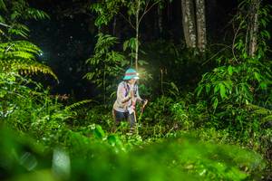 BIB: 
                            <button type="button" onclick="openModal(26434056)" class="btn btn-primary btn-sm float-right btn-popup" data-toggle="modal" data-target=".modal-high-quality">
                        <i class="fas fa-shopping-cart"></i> Add to Cart
                    </button>
                                            <button type="button" onclick="isThisMe(26434056, true)" class="btn btn-success btn-sm float-right btn-popup btn-isme hidden" data-toggle="tooltip" data-placement="bottom" title="นี่คือรูปของคุณใช่ไหม คลิกที่นี่เพื่อเอาเข้าอัลบั้ม">
                        <i class="fas fa-plus"></i> Add to album
                    </button>
                    <button type="button" onclick="isThisMe(26434056, false)" class="btn btn-warning btn-sm float-right btn-popup btn-isnotme hidden">
                        <i class="fas fa-ban"></i> Remove from album
                    </button>