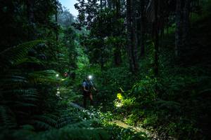 BIB: 
                            <button type="button" onclick="openModal(26499170)" class="btn btn-primary btn-sm float-right btn-popup" data-toggle="modal" data-target=".modal-high-quality">
                        <i class="fas fa-shopping-cart"></i> Add to Cart
                    </button>
                                            <button type="button" onclick="isThisMe(26499170, true)" class="btn btn-success btn-sm float-right btn-popup btn-isme hidden" data-toggle="tooltip" data-placement="bottom" title="นี่คือรูปของคุณใช่ไหม คลิกที่นี่เพื่อเอาเข้าอัลบั้ม">
                        <i class="fas fa-plus"></i> Add to album
                    </button>
                    <button type="button" onclick="isThisMe(26499170, false)" class="btn btn-warning btn-sm float-right btn-popup btn-isnotme hidden">
                        <i class="fas fa-ban"></i> Remove from album
                    </button>