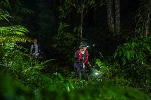 BIB: 
                            <button type="button" onclick="openModal(26433519)" class="btn btn-primary btn-sm float-right btn-popup" data-toggle="modal" data-target=".modal-high-quality">
                        <i class="fas fa-shopping-cart"></i> Add to Cart
                    </button>
                                            <button type="button" onclick="isThisMe(26433519, true)" class="btn btn-success btn-sm float-right btn-popup btn-isme hidden" data-toggle="tooltip" data-placement="bottom" title="นี่คือรูปของคุณใช่ไหม คลิกที่นี่เพื่อเอาเข้าอัลบั้ม">
                        <i class="fas fa-plus"></i> Add to album
                    </button>
                    <button type="button" onclick="isThisMe(26433519, false)" class="btn btn-warning btn-sm float-right btn-popup btn-isnotme hidden">
                        <i class="fas fa-ban"></i> Remove from album
                    </button>