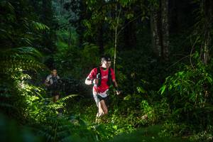 BIB: 
                            <button type="button" onclick="openModal(26432837)" class="btn btn-primary btn-sm float-right btn-popup" data-toggle="modal" data-target=".modal-high-quality">
                        <i class="fas fa-shopping-cart"></i> Add to Cart
                    </button>
                                            <button type="button" onclick="isThisMe(26432837, true)" class="btn btn-success btn-sm float-right btn-popup btn-isme hidden" data-toggle="tooltip" data-placement="bottom" title="นี่คือรูปของคุณใช่ไหม คลิกที่นี่เพื่อเอาเข้าอัลบั้ม">
                        <i class="fas fa-plus"></i> Add to album
                    </button>
                    <button type="button" onclick="isThisMe(26432837, false)" class="btn btn-warning btn-sm float-right btn-popup btn-isnotme hidden">
                        <i class="fas fa-ban"></i> Remove from album
                    </button>