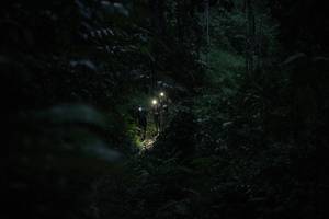 BIB: 
                            <button type="button" onclick="openModal(26499534)" class="btn btn-primary btn-sm float-right btn-popup" data-toggle="modal" data-target=".modal-high-quality">
                        <i class="fas fa-shopping-cart"></i> Add to Cart
                    </button>
                                            <button type="button" onclick="isThisMe(26499534, true)" class="btn btn-success btn-sm float-right btn-popup btn-isme hidden" data-toggle="tooltip" data-placement="bottom" title="นี่คือรูปของคุณใช่ไหม คลิกที่นี่เพื่อเอาเข้าอัลบั้ม">
                        <i class="fas fa-plus"></i> Add to album
                    </button>
                    <button type="button" onclick="isThisMe(26499534, false)" class="btn btn-warning btn-sm float-right btn-popup btn-isnotme hidden">
                        <i class="fas fa-ban"></i> Remove from album
                    </button>