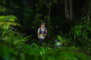 BIB: 
                            <button type="button" onclick="openModal(26433169)" class="btn btn-primary btn-sm float-right btn-popup" data-toggle="modal" data-target=".modal-high-quality">
                        <i class="fas fa-shopping-cart"></i> Add to Cart
                    </button>
                                            <button type="button" onclick="isThisMe(26433169, true)" class="btn btn-success btn-sm float-right btn-popup btn-isme hidden" data-toggle="tooltip" data-placement="bottom" title="นี่คือรูปของคุณใช่ไหม คลิกที่นี่เพื่อเอาเข้าอัลบั้ม">
                        <i class="fas fa-plus"></i> Add to album
                    </button>
                    <button type="button" onclick="isThisMe(26433169, false)" class="btn btn-warning btn-sm float-right btn-popup btn-isnotme hidden">
                        <i class="fas fa-ban"></i> Remove from album
                    </button>