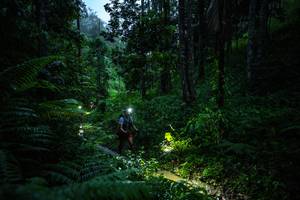 BIB: 
                            <button type="button" onclick="openModal(26499175)" class="btn btn-primary btn-sm float-right btn-popup" data-toggle="modal" data-target=".modal-high-quality">
                        <i class="fas fa-shopping-cart"></i> Add to Cart
                    </button>
                                            <button type="button" onclick="isThisMe(26499175, true)" class="btn btn-success btn-sm float-right btn-popup btn-isme hidden" data-toggle="tooltip" data-placement="bottom" title="นี่คือรูปของคุณใช่ไหม คลิกที่นี่เพื่อเอาเข้าอัลบั้ม">
                        <i class="fas fa-plus"></i> Add to album
                    </button>
                    <button type="button" onclick="isThisMe(26499175, false)" class="btn btn-warning btn-sm float-right btn-popup btn-isnotme hidden">
                        <i class="fas fa-ban"></i> Remove from album
                    </button>