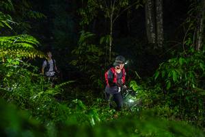 BIB: 
                            <button type="button" onclick="openModal(26433520)" class="btn btn-primary btn-sm float-right btn-popup" data-toggle="modal" data-target=".modal-high-quality">
                        <i class="fas fa-shopping-cart"></i> Add to Cart
                    </button>
                                            <button type="button" onclick="isThisMe(26433520, true)" class="btn btn-success btn-sm float-right btn-popup btn-isme hidden" data-toggle="tooltip" data-placement="bottom" title="นี่คือรูปของคุณใช่ไหม คลิกที่นี่เพื่อเอาเข้าอัลบั้ม">
                        <i class="fas fa-plus"></i> Add to album
                    </button>
                    <button type="button" onclick="isThisMe(26433520, false)" class="btn btn-warning btn-sm float-right btn-popup btn-isnotme hidden">
                        <i class="fas fa-ban"></i> Remove from album
                    </button>