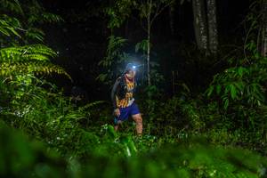 BIB: 
                            <button type="button" onclick="openModal(26433996)" class="btn btn-primary btn-sm float-right btn-popup" data-toggle="modal" data-target=".modal-high-quality">
                        <i class="fas fa-shopping-cart"></i> Add to Cart
                    </button>
                                            <button type="button" onclick="isThisMe(26433996, true)" class="btn btn-success btn-sm float-right btn-popup btn-isme hidden" data-toggle="tooltip" data-placement="bottom" title="นี่คือรูปของคุณใช่ไหม คลิกที่นี่เพื่อเอาเข้าอัลบั้ม">
                        <i class="fas fa-plus"></i> Add to album
                    </button>
                    <button type="button" onclick="isThisMe(26433996, false)" class="btn btn-warning btn-sm float-right btn-popup btn-isnotme hidden">
                        <i class="fas fa-ban"></i> Remove from album
                    </button>