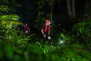 BIB: 
                            <button type="button" onclick="openModal(26433728)" class="btn btn-primary btn-sm float-right btn-popup" data-toggle="modal" data-target=".modal-high-quality">
                        <i class="fas fa-shopping-cart"></i> Add to Cart
                    </button>
                                            <button type="button" onclick="isThisMe(26433728, true)" class="btn btn-success btn-sm float-right btn-popup btn-isme hidden" data-toggle="tooltip" data-placement="bottom" title="นี่คือรูปของคุณใช่ไหม คลิกที่นี่เพื่อเอาเข้าอัลบั้ม">
                        <i class="fas fa-plus"></i> Add to album
                    </button>
                    <button type="button" onclick="isThisMe(26433728, false)" class="btn btn-warning btn-sm float-right btn-popup btn-isnotme hidden">
                        <i class="fas fa-ban"></i> Remove from album
                    </button>