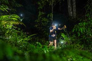 BIB: 
                            <button type="button" onclick="openModal(26433717)" class="btn btn-primary btn-sm float-right btn-popup" data-toggle="modal" data-target=".modal-high-quality">
                        <i class="fas fa-shopping-cart"></i> Add to Cart
                    </button>
                                            <button type="button" onclick="isThisMe(26433717, true)" class="btn btn-success btn-sm float-right btn-popup btn-isme hidden" data-toggle="tooltip" data-placement="bottom" title="นี่คือรูปของคุณใช่ไหม คลิกที่นี่เพื่อเอาเข้าอัลบั้ม">
                        <i class="fas fa-plus"></i> Add to album
                    </button>
                    <button type="button" onclick="isThisMe(26433717, false)" class="btn btn-warning btn-sm float-right btn-popup btn-isnotme hidden">
                        <i class="fas fa-ban"></i> Remove from album
                    </button>