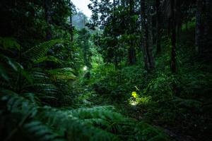 BIB: 
                            <button type="button" onclick="openModal(26499135)" class="btn btn-primary btn-sm float-right btn-popup" data-toggle="modal" data-target=".modal-high-quality">
                        <i class="fas fa-shopping-cart"></i> Add to Cart
                    </button>
                                            <button type="button" onclick="isThisMe(26499135, true)" class="btn btn-success btn-sm float-right btn-popup btn-isme hidden" data-toggle="tooltip" data-placement="bottom" title="นี่คือรูปของคุณใช่ไหม คลิกที่นี่เพื่อเอาเข้าอัลบั้ม">
                        <i class="fas fa-plus"></i> Add to album
                    </button>
                    <button type="button" onclick="isThisMe(26499135, false)" class="btn btn-warning btn-sm float-right btn-popup btn-isnotme hidden">
                        <i class="fas fa-ban"></i> Remove from album
                    </button>