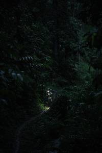 BIB: 
                            <button type="button" onclick="openModal(26499664)" class="btn btn-primary btn-sm float-right btn-popup" data-toggle="modal" data-target=".modal-high-quality">
                        <i class="fas fa-shopping-cart"></i> Add to Cart
                    </button>
                                            <button type="button" onclick="isThisMe(26499664, true)" class="btn btn-success btn-sm float-right btn-popup btn-isme hidden" data-toggle="tooltip" data-placement="bottom" title="นี่คือรูปของคุณใช่ไหม คลิกที่นี่เพื่อเอาเข้าอัลบั้ม">
                        <i class="fas fa-plus"></i> Add to album
                    </button>
                    <button type="button" onclick="isThisMe(26499664, false)" class="btn btn-warning btn-sm float-right btn-popup btn-isnotme hidden">
                        <i class="fas fa-ban"></i> Remove from album
                    </button>