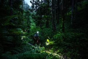 BIB: 
                            <button type="button" onclick="openModal(26499160)" class="btn btn-primary btn-sm float-right btn-popup" data-toggle="modal" data-target=".modal-high-quality">
                        <i class="fas fa-shopping-cart"></i> Add to Cart
                    </button>
                                            <button type="button" onclick="isThisMe(26499160, true)" class="btn btn-success btn-sm float-right btn-popup btn-isme hidden" data-toggle="tooltip" data-placement="bottom" title="นี่คือรูปของคุณใช่ไหม คลิกที่นี่เพื่อเอาเข้าอัลบั้ม">
                        <i class="fas fa-plus"></i> Add to album
                    </button>
                    <button type="button" onclick="isThisMe(26499160, false)" class="btn btn-warning btn-sm float-right btn-popup btn-isnotme hidden">
                        <i class="fas fa-ban"></i> Remove from album
                    </button>