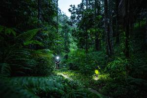 BIB: 
                            <button type="button" onclick="openModal(26499536)" class="btn btn-primary btn-sm float-right btn-popup" data-toggle="modal" data-target=".modal-high-quality">
                        <i class="fas fa-shopping-cart"></i> Add to Cart
                    </button>
                                            <button type="button" onclick="isThisMe(26499536, true)" class="btn btn-success btn-sm float-right btn-popup btn-isme hidden" data-toggle="tooltip" data-placement="bottom" title="นี่คือรูปของคุณใช่ไหม คลิกที่นี่เพื่อเอาเข้าอัลบั้ม">
                        <i class="fas fa-plus"></i> Add to album
                    </button>
                    <button type="button" onclick="isThisMe(26499536, false)" class="btn btn-warning btn-sm float-right btn-popup btn-isnotme hidden">
                        <i class="fas fa-ban"></i> Remove from album
                    </button>