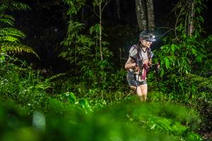 BIB: 
                            <button type="button" onclick="openModal(26434164)" class="btn btn-primary btn-sm float-right btn-popup" data-toggle="modal" data-target=".modal-high-quality">
                        <i class="fas fa-shopping-cart"></i> Add to Cart
                    </button>
                                            <button type="button" onclick="isThisMe(26434164, true)" class="btn btn-success btn-sm float-right btn-popup btn-isme hidden" data-toggle="tooltip" data-placement="bottom" title="นี่คือรูปของคุณใช่ไหม คลิกที่นี่เพื่อเอาเข้าอัลบั้ม">
                        <i class="fas fa-plus"></i> Add to album
                    </button>
                    <button type="button" onclick="isThisMe(26434164, false)" class="btn btn-warning btn-sm float-right btn-popup btn-isnotme hidden">
                        <i class="fas fa-ban"></i> Remove from album
                    </button>