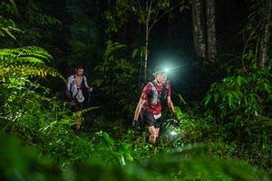 BIB: 
                            <button type="button" onclick="openModal(26433208)" class="btn btn-primary btn-sm float-right btn-popup" data-toggle="modal" data-target=".modal-high-quality">
                        <i class="fas fa-shopping-cart"></i> Add to Cart
                    </button>
                                            <button type="button" onclick="isThisMe(26433208, true)" class="btn btn-success btn-sm float-right btn-popup btn-isme hidden" data-toggle="tooltip" data-placement="bottom" title="นี่คือรูปของคุณใช่ไหม คลิกที่นี่เพื่อเอาเข้าอัลบั้ม">
                        <i class="fas fa-plus"></i> Add to album
                    </button>
                    <button type="button" onclick="isThisMe(26433208, false)" class="btn btn-warning btn-sm float-right btn-popup btn-isnotme hidden">
                        <i class="fas fa-ban"></i> Remove from album
                    </button>