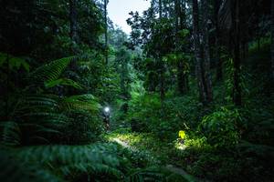 BIB: 
                            <button type="button" onclick="openModal(26499391)" class="btn btn-primary btn-sm float-right btn-popup" data-toggle="modal" data-target=".modal-high-quality">
                        <i class="fas fa-shopping-cart"></i> Add to Cart
                    </button>
                                            <button type="button" onclick="isThisMe(26499391, true)" class="btn btn-success btn-sm float-right btn-popup btn-isme hidden" data-toggle="tooltip" data-placement="bottom" title="นี่คือรูปของคุณใช่ไหม คลิกที่นี่เพื่อเอาเข้าอัลบั้ม">
                        <i class="fas fa-plus"></i> Add to album
                    </button>
                    <button type="button" onclick="isThisMe(26499391, false)" class="btn btn-warning btn-sm float-right btn-popup btn-isnotme hidden">
                        <i class="fas fa-ban"></i> Remove from album
                    </button>