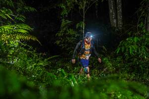 BIB: 
                            <button type="button" onclick="openModal(26434007)" class="btn btn-primary btn-sm float-right btn-popup" data-toggle="modal" data-target=".modal-high-quality">
                        <i class="fas fa-shopping-cart"></i> Add to Cart
                    </button>
                                            <button type="button" onclick="isThisMe(26434007, true)" class="btn btn-success btn-sm float-right btn-popup btn-isme hidden" data-toggle="tooltip" data-placement="bottom" title="นี่คือรูปของคุณใช่ไหม คลิกที่นี่เพื่อเอาเข้าอัลบั้ม">
                        <i class="fas fa-plus"></i> Add to album
                    </button>
                    <button type="button" onclick="isThisMe(26434007, false)" class="btn btn-warning btn-sm float-right btn-popup btn-isnotme hidden">
                        <i class="fas fa-ban"></i> Remove from album
                    </button>