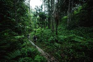 BIB: 
                            <button type="button" onclick="openModal(26498490)" class="btn btn-primary btn-sm float-right btn-popup" data-toggle="modal" data-target=".modal-high-quality">
                        <i class="fas fa-shopping-cart"></i> Add to Cart
                    </button>
                                            <button type="button" onclick="isThisMe(26498490, true)" class="btn btn-success btn-sm float-right btn-popup btn-isme hidden" data-toggle="tooltip" data-placement="bottom" title="นี่คือรูปของคุณใช่ไหม คลิกที่นี่เพื่อเอาเข้าอัลบั้ม">
                        <i class="fas fa-plus"></i> Add to album
                    </button>
                    <button type="button" onclick="isThisMe(26498490, false)" class="btn btn-warning btn-sm float-right btn-popup btn-isnotme hidden">
                        <i class="fas fa-ban"></i> Remove from album
                    </button>