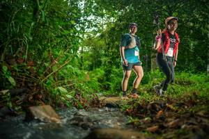 BIB: 
                            <button type="button" onclick="openModal(26479468)" class="btn btn-primary btn-sm float-right btn-popup" data-toggle="modal" data-target=".modal-high-quality">
                        <i class="fas fa-shopping-cart"></i> Add to Cart
                    </button>
                                            <button type="button" onclick="isThisMe(26479468, true)" class="btn btn-success btn-sm float-right btn-popup btn-isme hidden" data-toggle="tooltip" data-placement="bottom" title="นี่คือรูปของคุณใช่ไหม คลิกที่นี่เพื่อเอาเข้าอัลบั้ม">
                        <i class="fas fa-plus"></i> Add to album
                    </button>
                    <button type="button" onclick="isThisMe(26479468, false)" class="btn btn-warning btn-sm float-right btn-popup btn-isnotme hidden">
                        <i class="fas fa-ban"></i> Remove from album
                    </button>